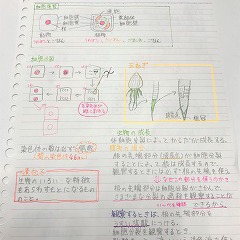 ノート作り(石神井台教室)
