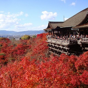 修学旅行お疲れ様でした（石神井台教室）