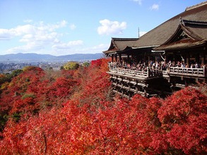 修学旅行お疲れ様でした（石神井台教室）