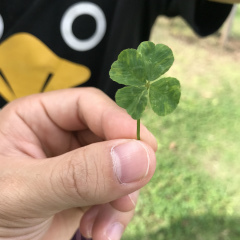 テスト終わって一息。(久米川教室)