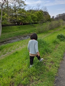 【桃井教室】6月からの授業について