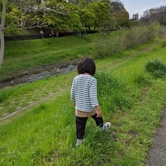 【桃井教室】6月からの授業について