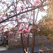 3/2【富士見ヶ丘教室】29期生合否結果