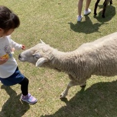 5/7【桃井教室】GWもあとわずか