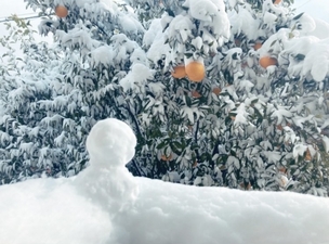 11/5【久米川教室】冬期講習のご案内