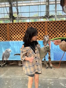 6/23【桃井教室】あと１日！