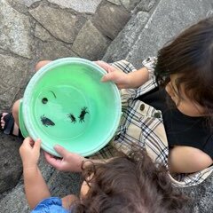 9/10【桃井教室】９月１３日（土）開校のおしらせ