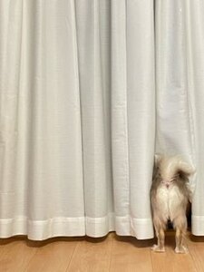 11/4【桃井教室】１１月８日（土）開校のお知らせ