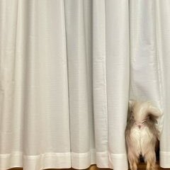 11/4【桃井教室】１１月８日（土）開校のお知らせ