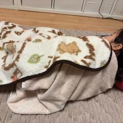 11/14【桃井教室】カウントダウンスタート！