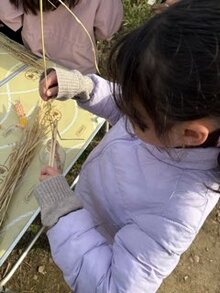 11/26【桃井教室】２０２５冬期講習のご案内