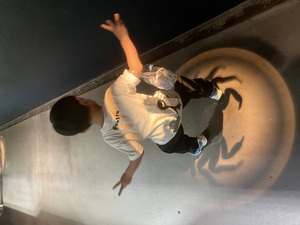 11/21【下井草】週末の予定