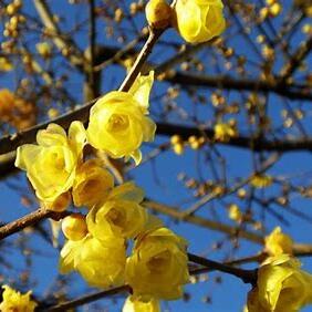 2/5【富士見ヶ丘教室】来年度に関して