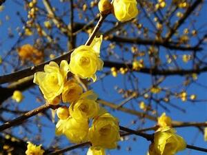 2/5【富士見ヶ丘教室】来年度に関して