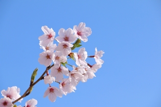 2/27【久米川教室】来週からは。