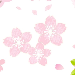 3/3【西荻窪】新たなスタート